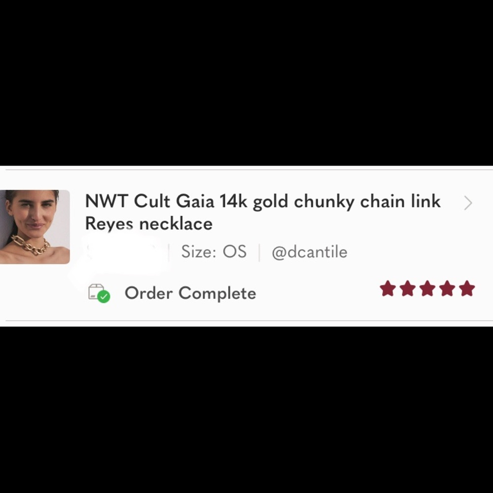 NWT Cult Gaia 14k gold chunky chain link necklace - Picture 2 of 8